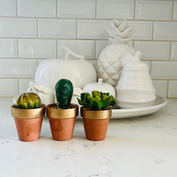 Pier 1 set of three faux mini decorative cactus - Picture 3 of 15